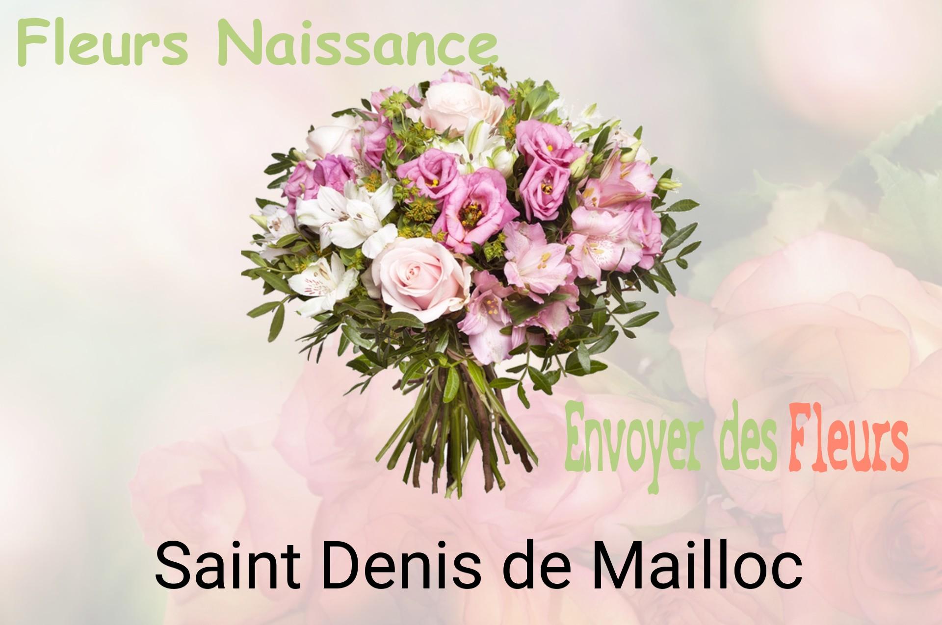 Bouquet de fleurs de naissance livré à Saint-Denis-de-Mailloc